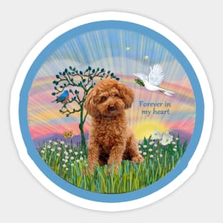 An Apricot Toy Poodle in heaven's Clouds Sticker